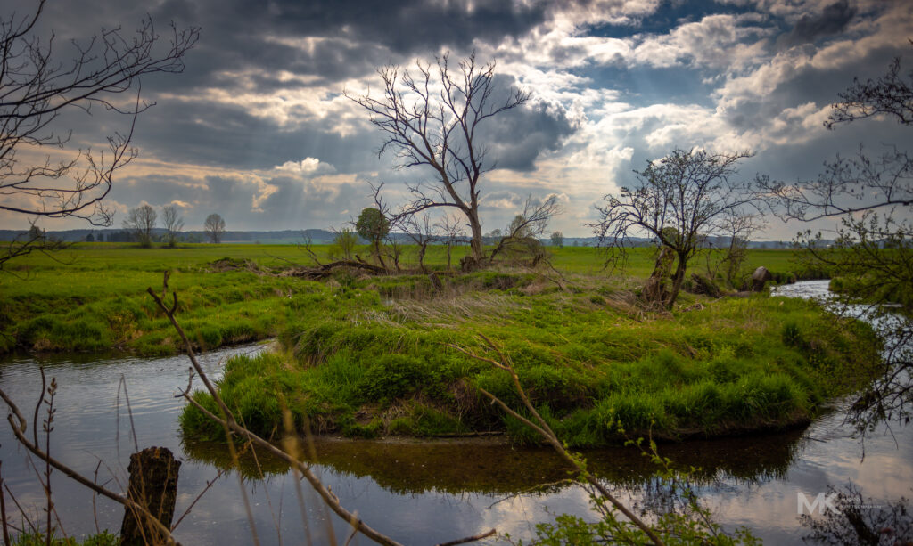Bachlauf in der Nähe von Weilbach / Unterallgäu