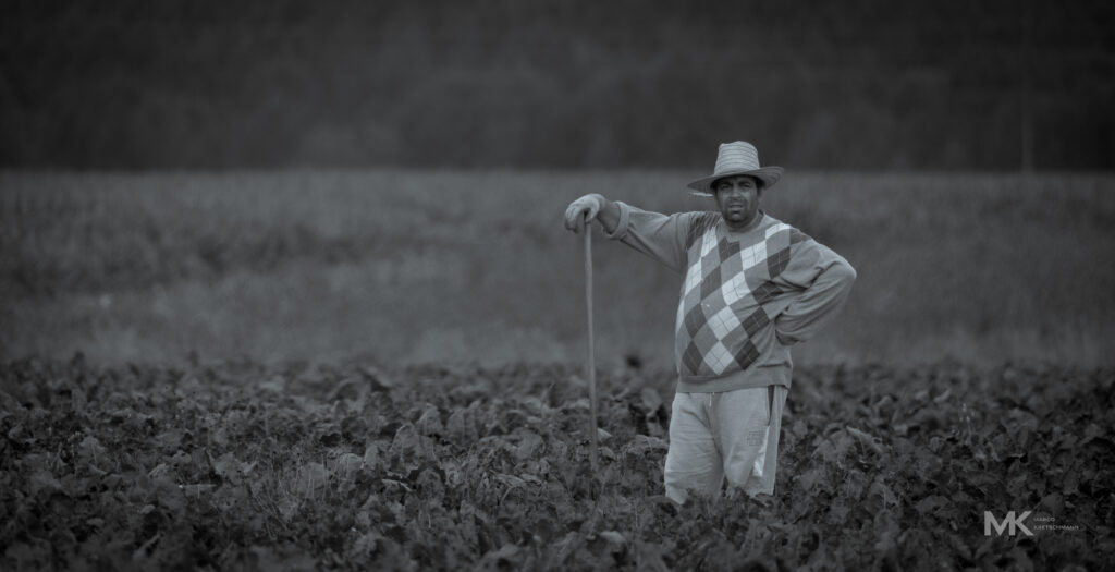 Fieldwork