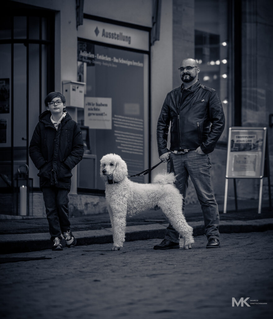 poodle proud