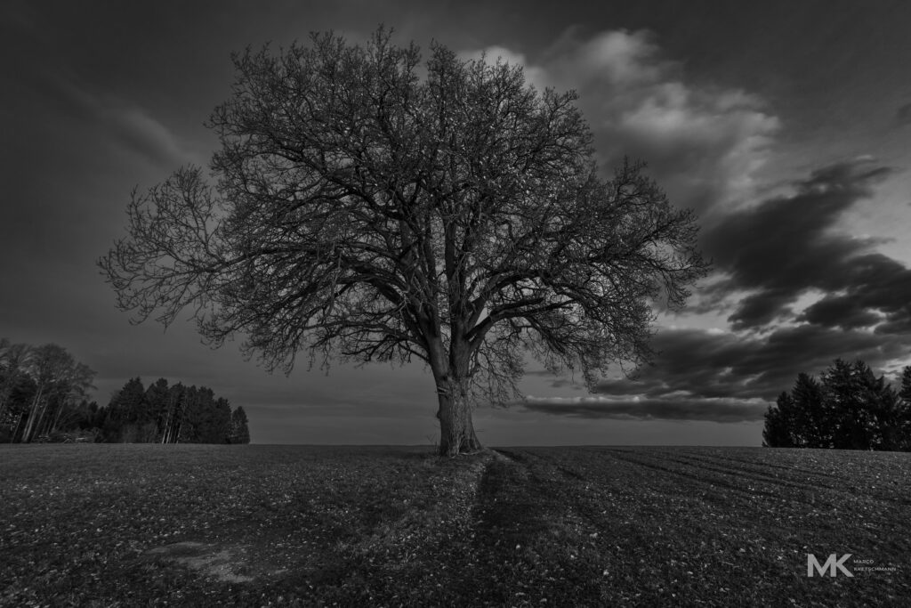 Kunzach Sonnenaufgang