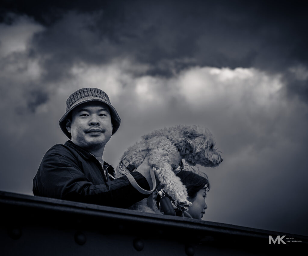 bridge-dog