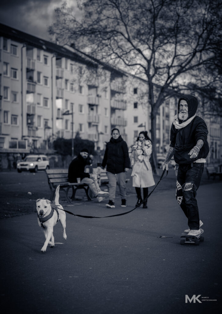 skate hard
