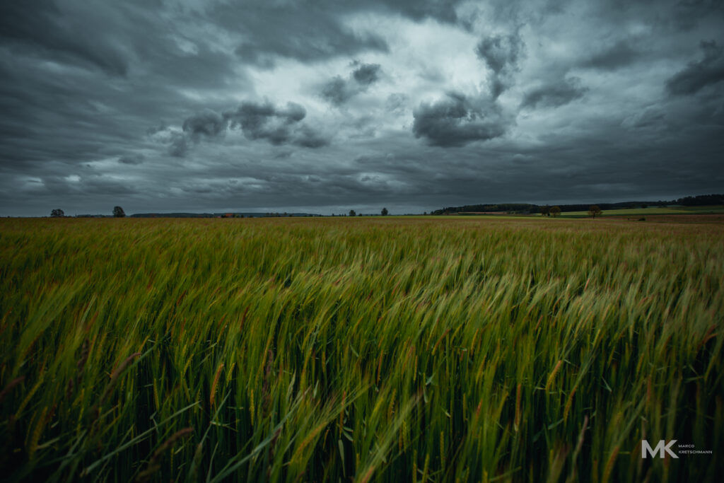 stormy field and Skye