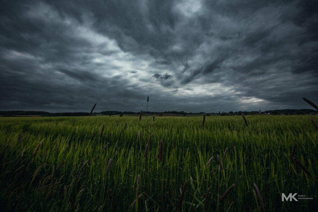 green grass + dark skye